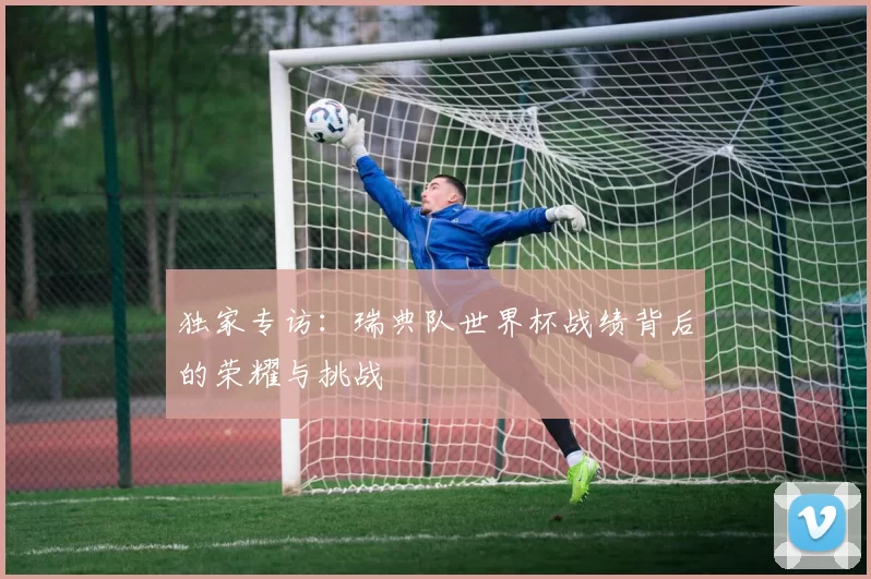 独家专访:瑞典队世界杯战绩背后的荣耀与挑战