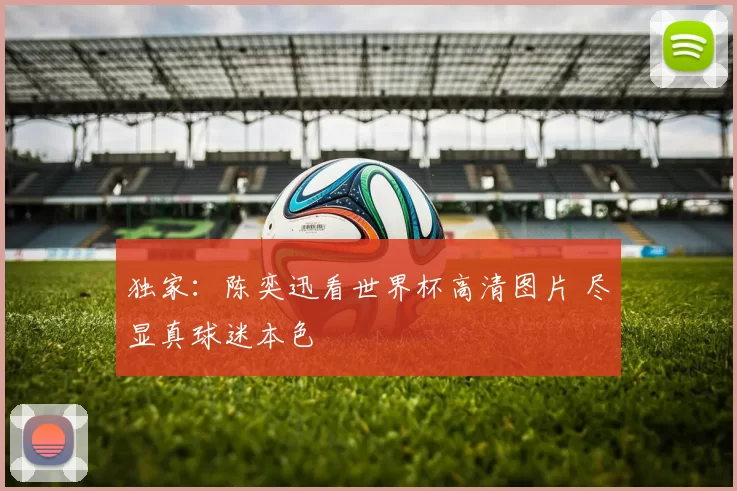 独家:陈奕迅看世界杯高清图片 尽显真球迷本色