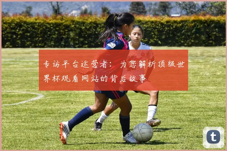 专访平台运营者：为您解析顶级世界杯观看网站的背后故事