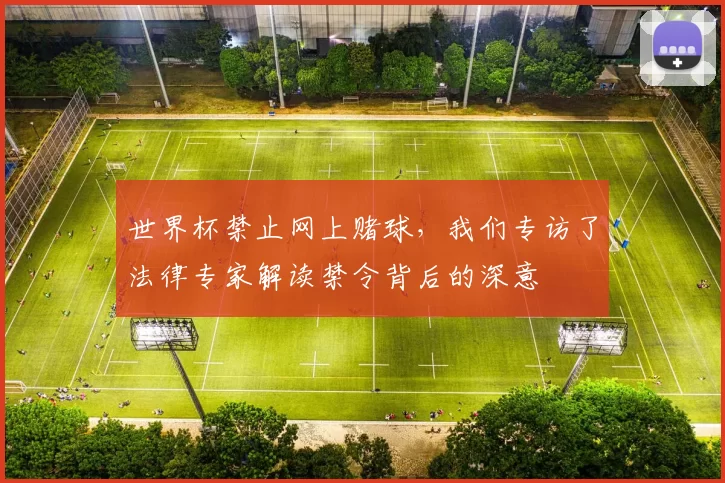 世界杯禁止网上赌球，我们专访了法律专家解读禁令背后的深意