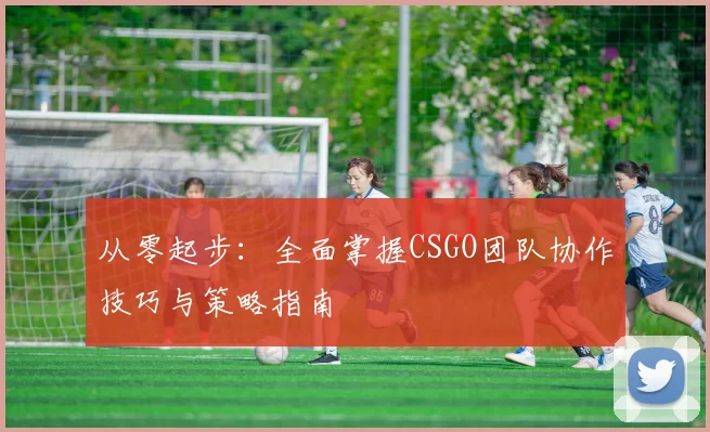 从零起步：全面掌握CSGO团队协作技巧与策略指南