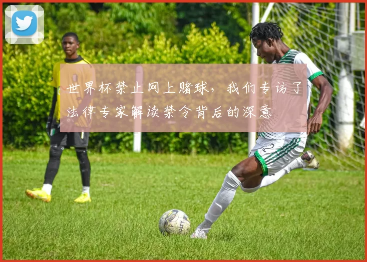 世界杯禁止网上赌球，我们专访了法律专家解读禁令背后的深意